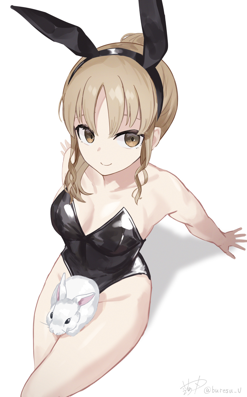 Sister Claire (Bunny Day) Rule 34 Image