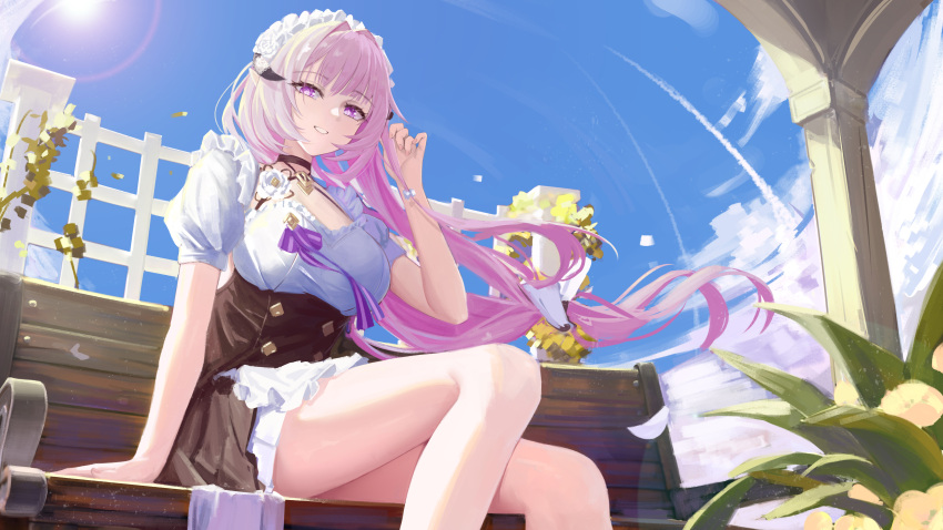 Elysia (Honkai Impact) Rule 34 Image