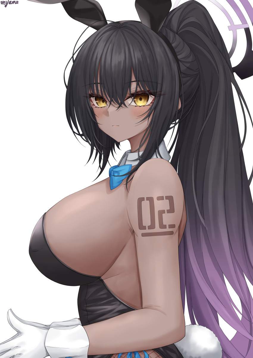 Karin (Blue Archive) Rule 34 Image