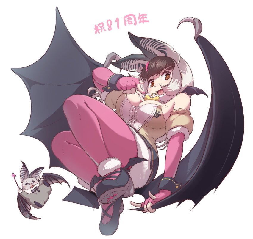 Brown Long-Eared Bat (Kemono Friends) Rule 34 Image