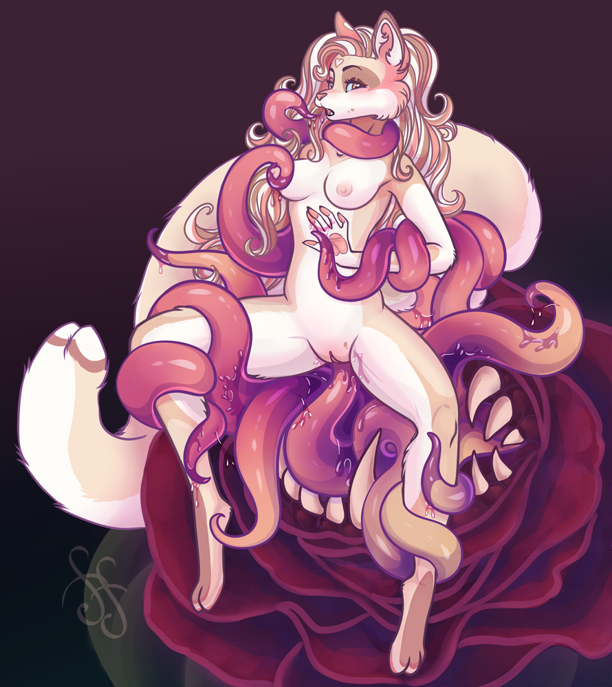 Rose (Flower) Rule 34 Image