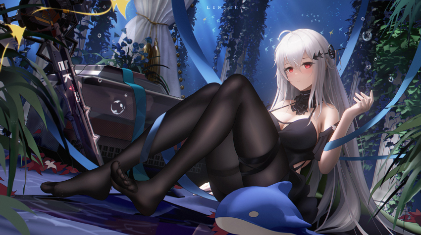 Skadi (Arknights) Rule 34 Image