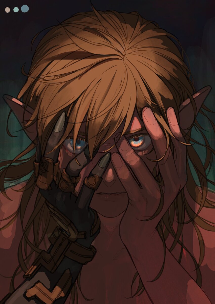 Link (Nintendo) Rule 34 Image