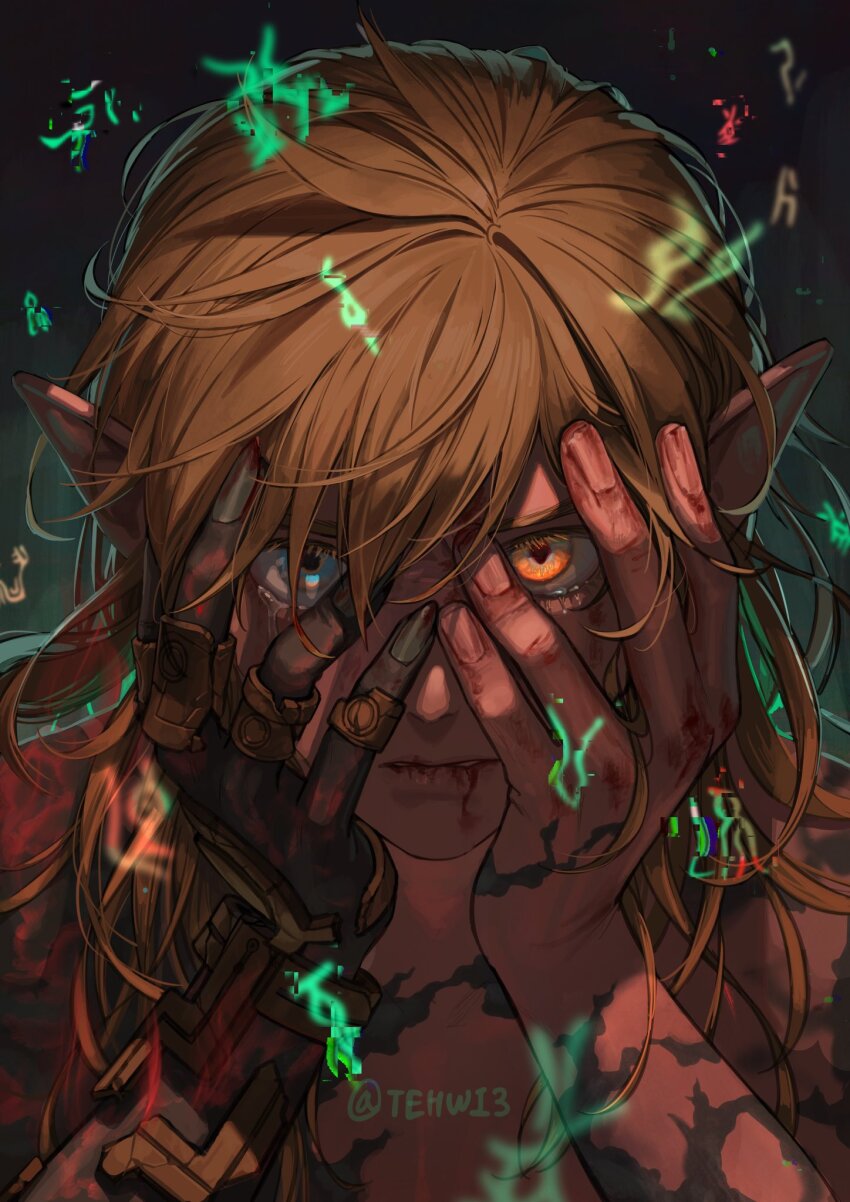 Link (Nintendo) Rule 34 Image