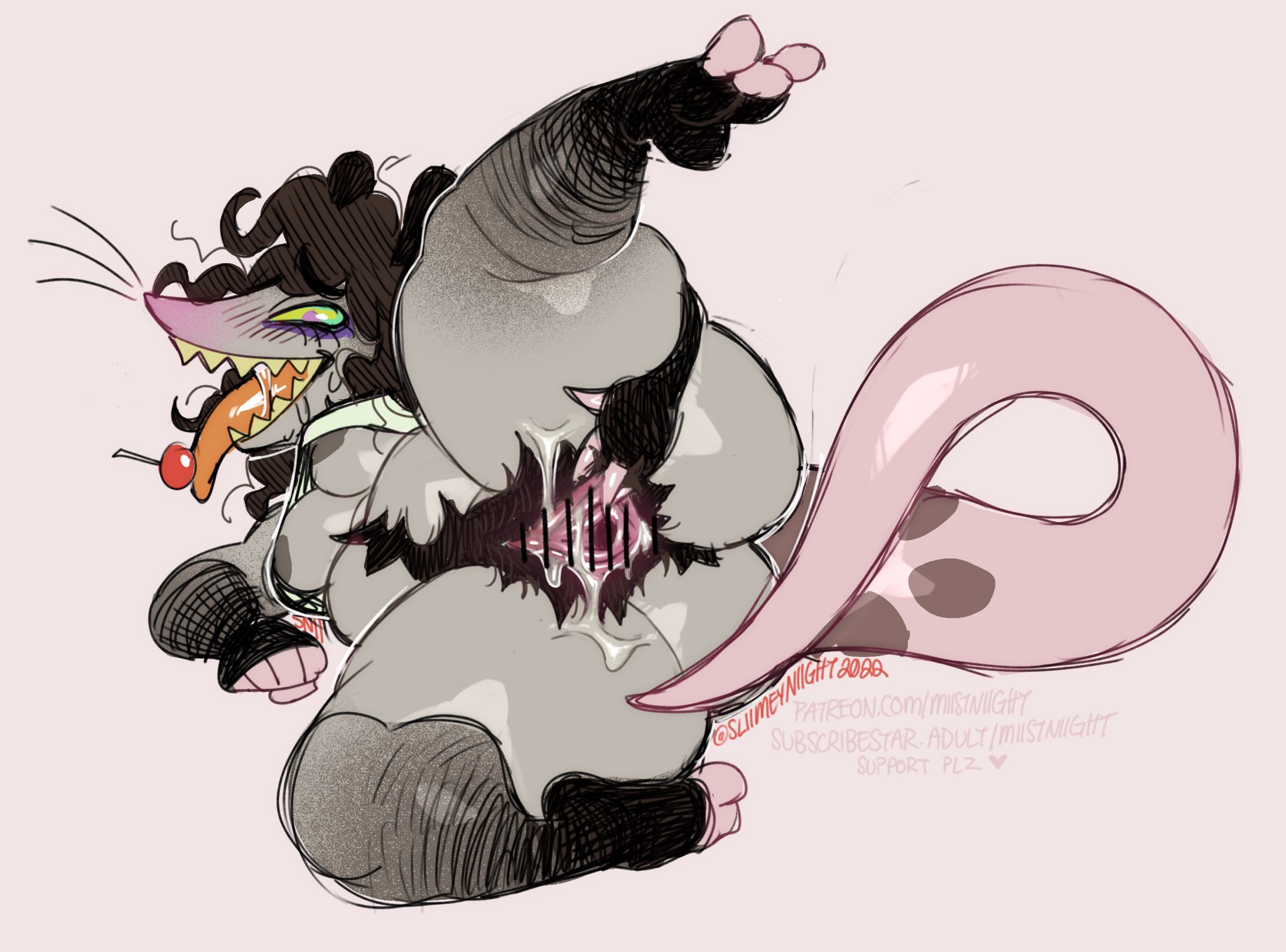 American Opossum Rule 34 Image