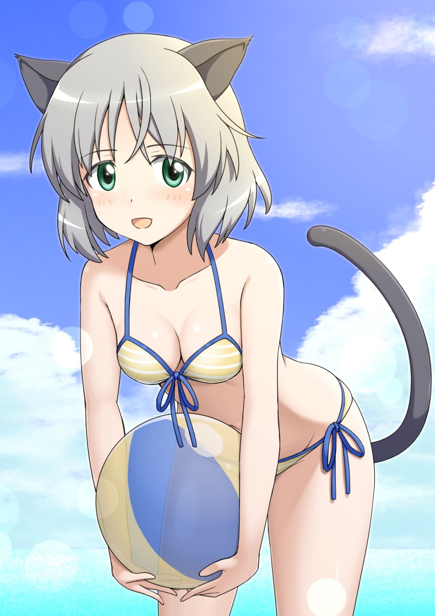 Sanya V. Litvyak (Strike Witches) Rule 34 Image