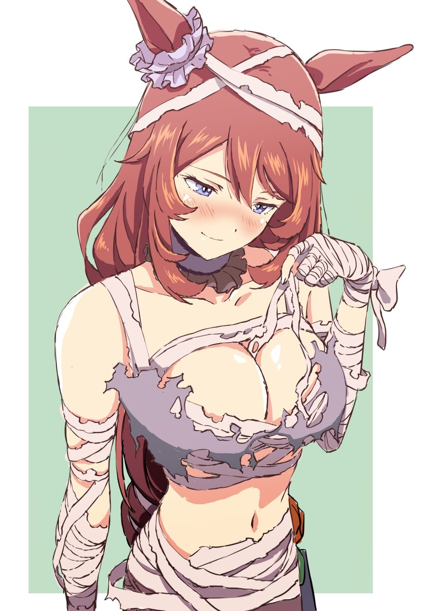 Super Creek (Chiffon-Wrapped Mummy) (Umamusume) Rule 34 Image