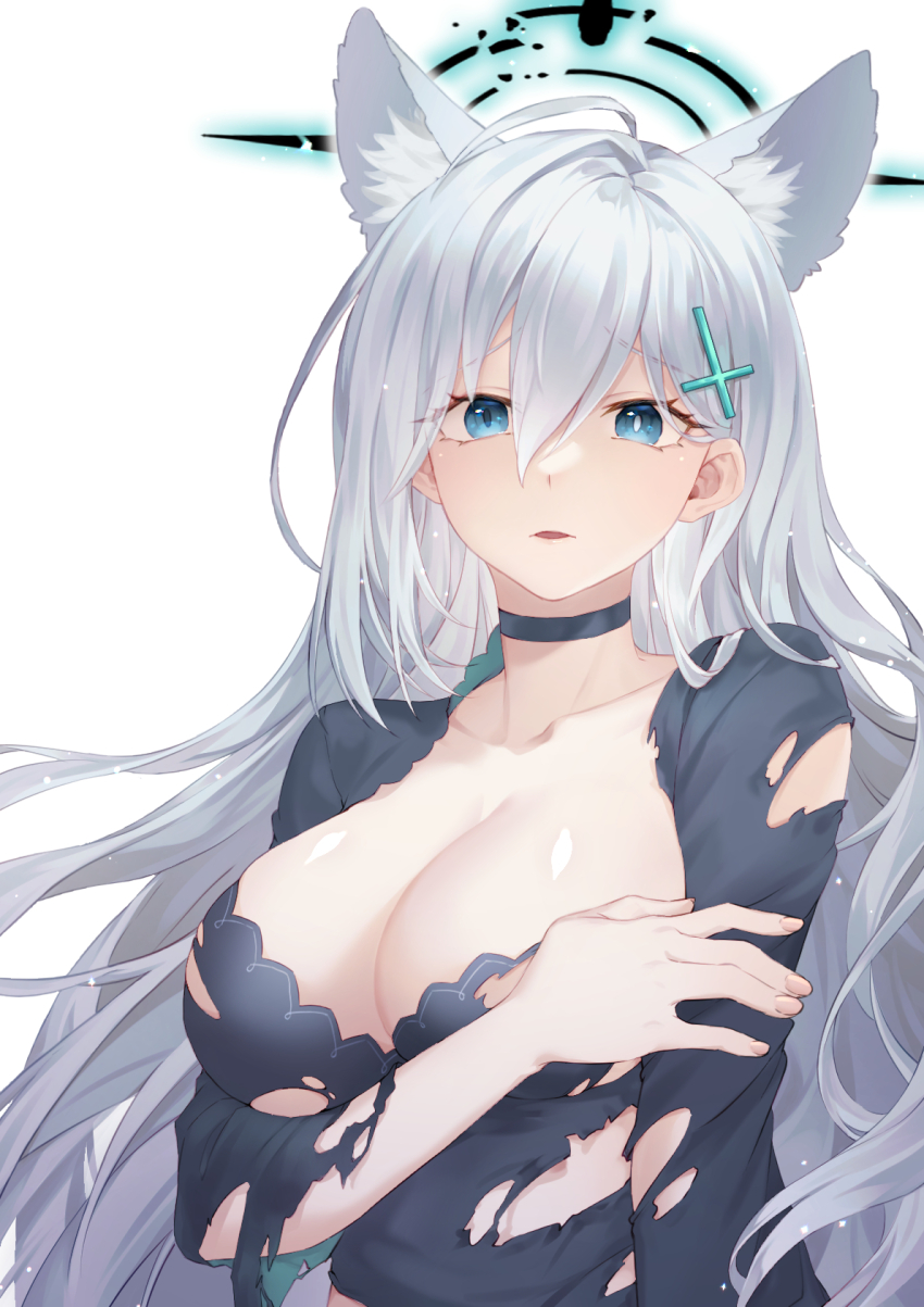 Shiroko Terror (Blue Archive) Rule 34 Image