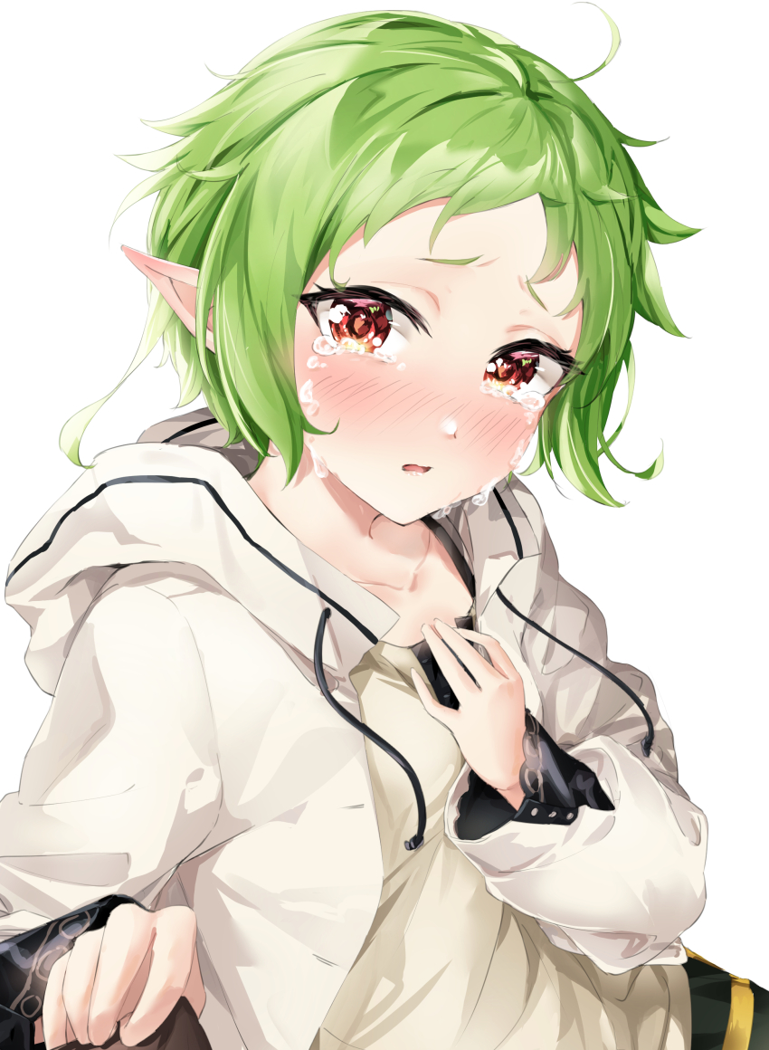 Sylphiette (Mushoku Tensei) Rule 34 Image