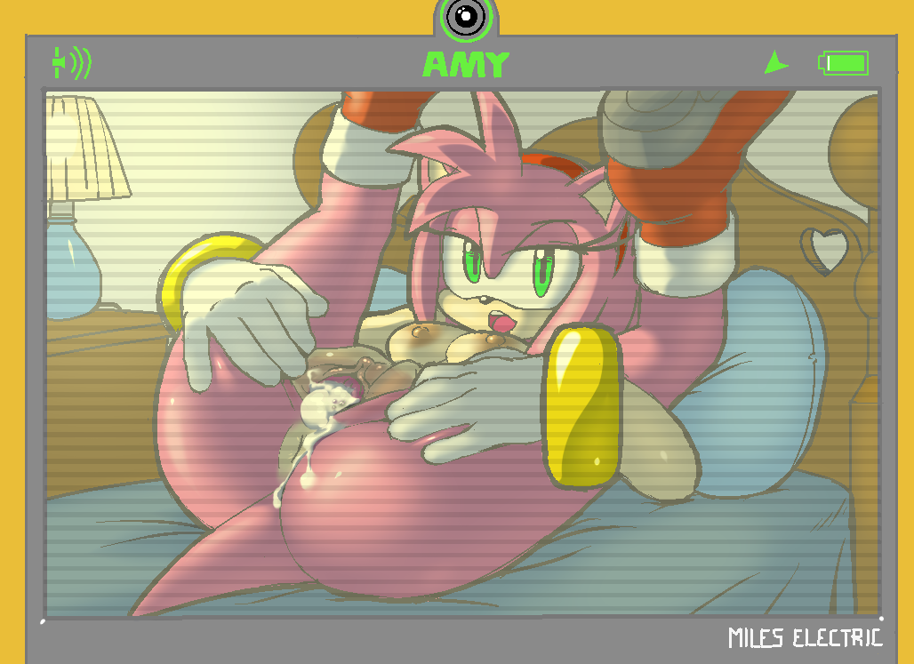Amy Rose (Sonic (Series)) Rule 34 Image
