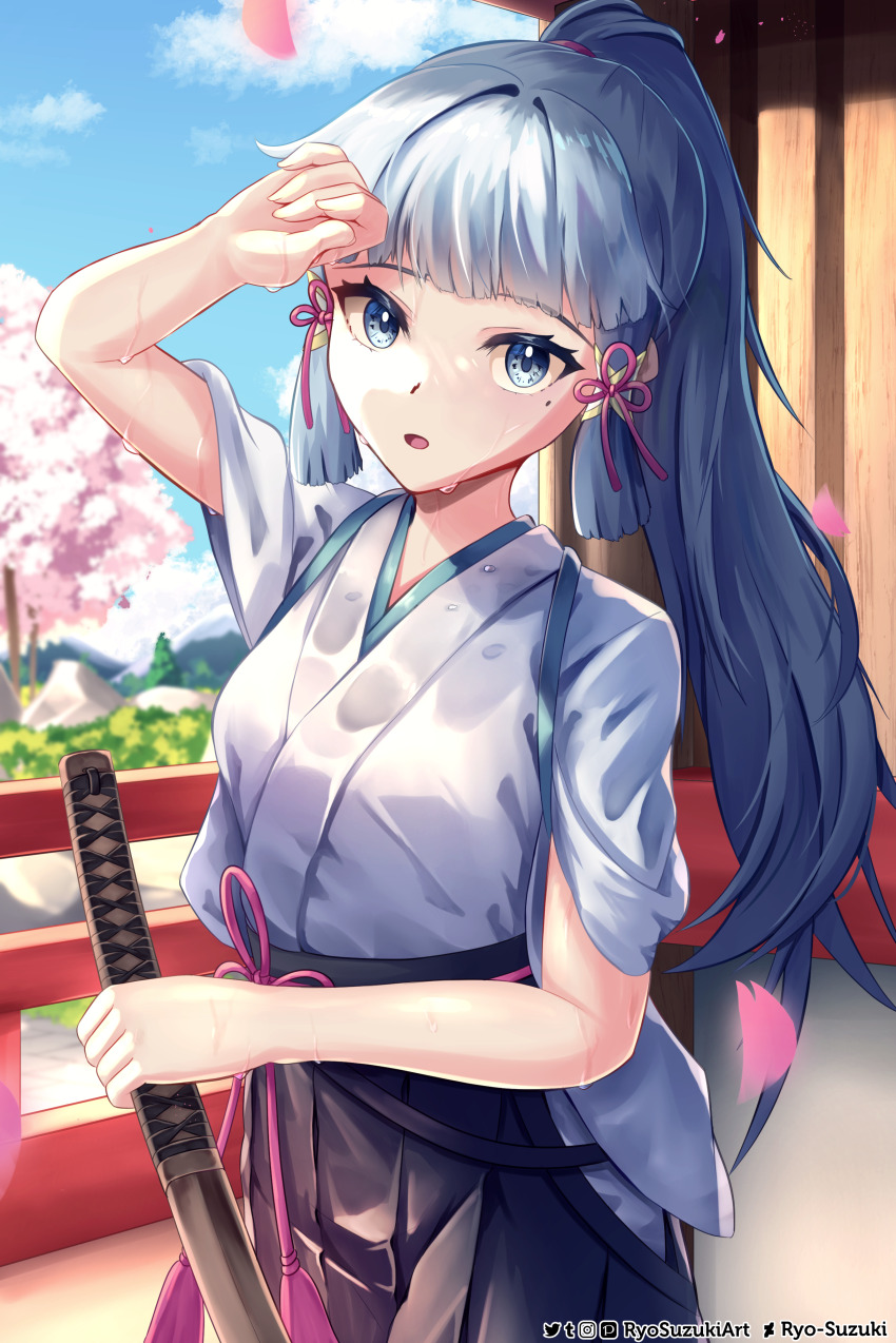 Ayaka (Genshin Impact) Rule 34 Image