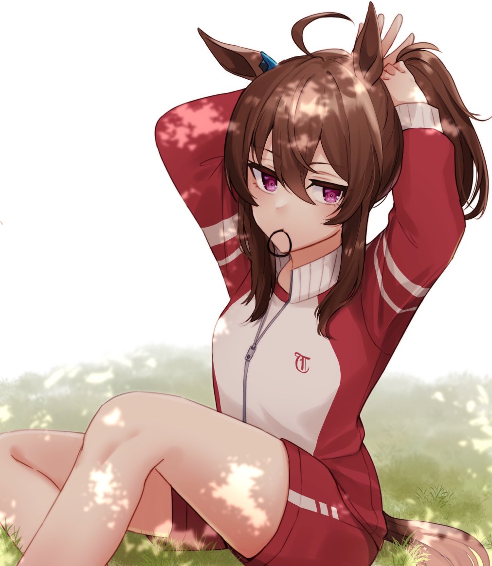 Nakayama Festa (Umamusume) Rule 34 Image
