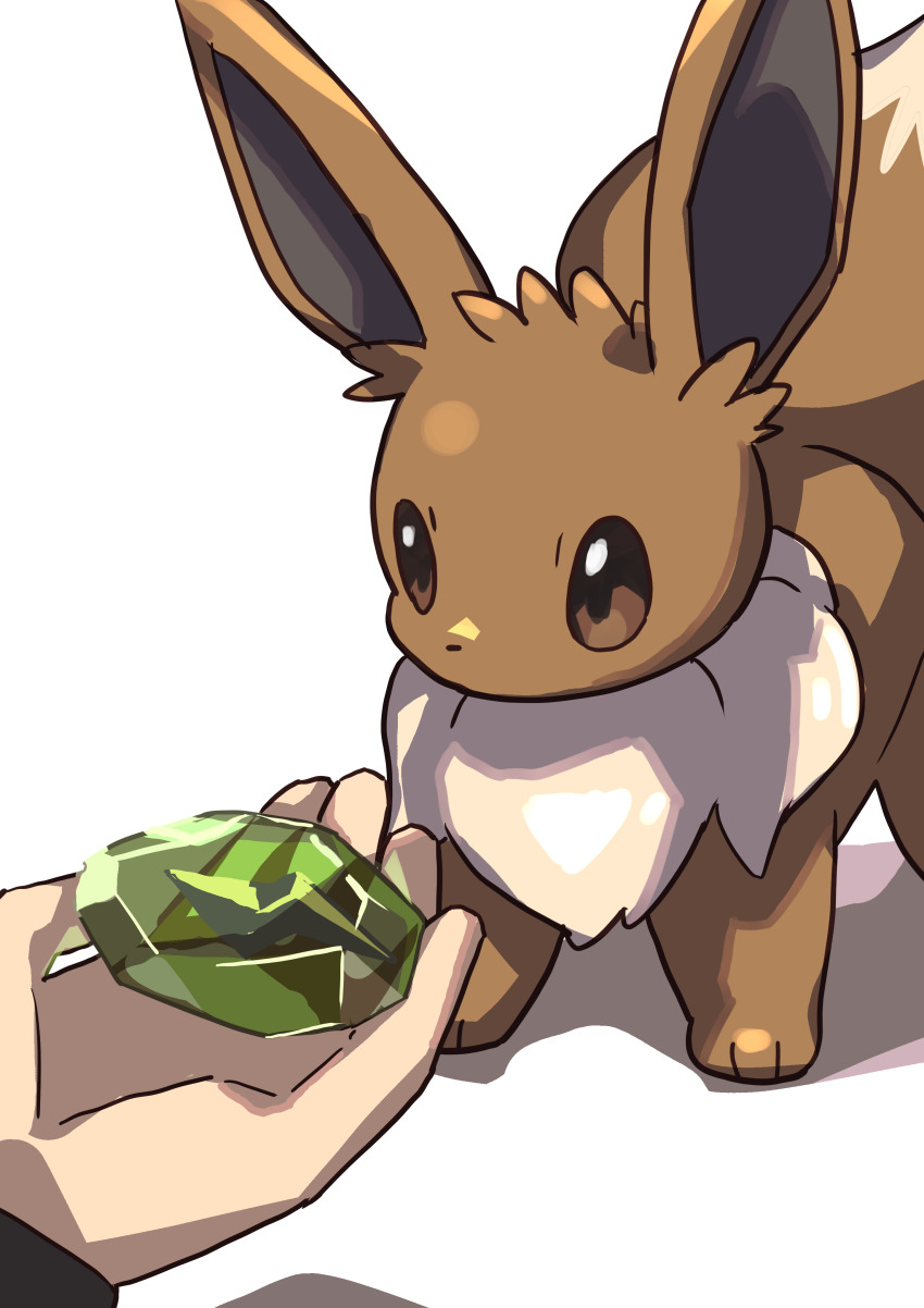 Eevee (Nintendo) Rule 34 Image