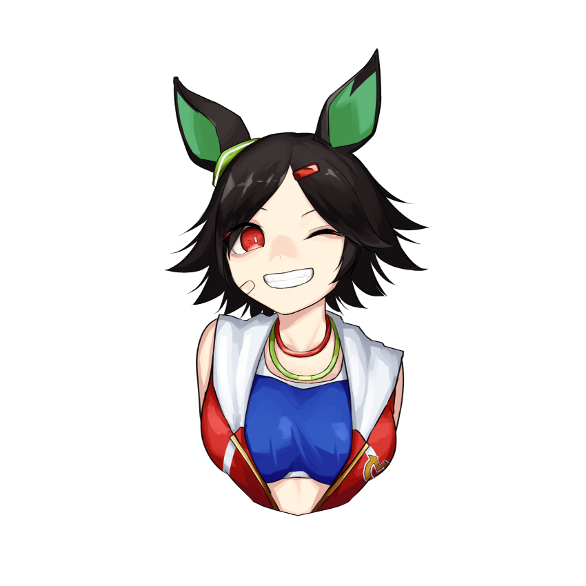 Winning Ticket (Umamusume) Rule 34 Image