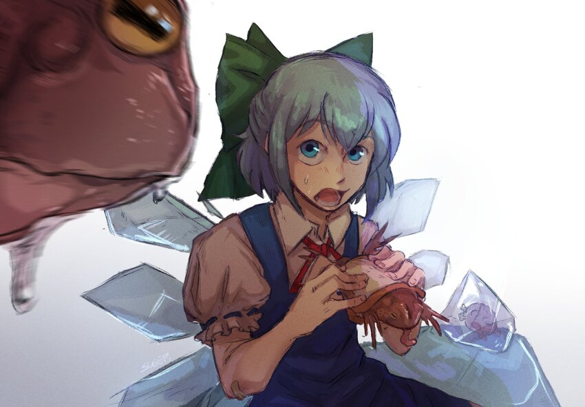 Cirno (Touhou) Rule 34 Image