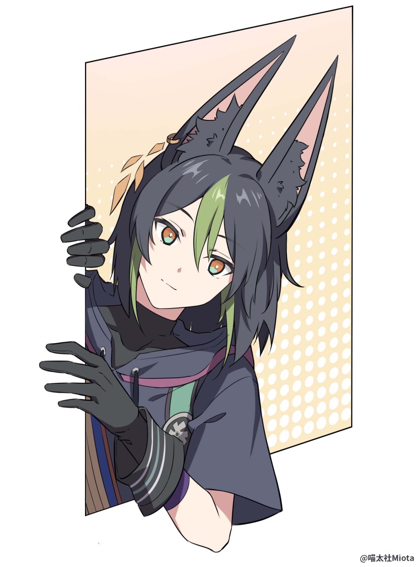 Tighnari (Genshin Impact) Rule 34 Image