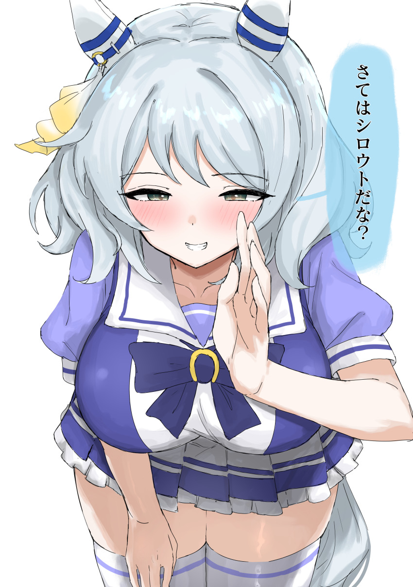 Hishi Miracle (Umamusume) Rule 34 Image