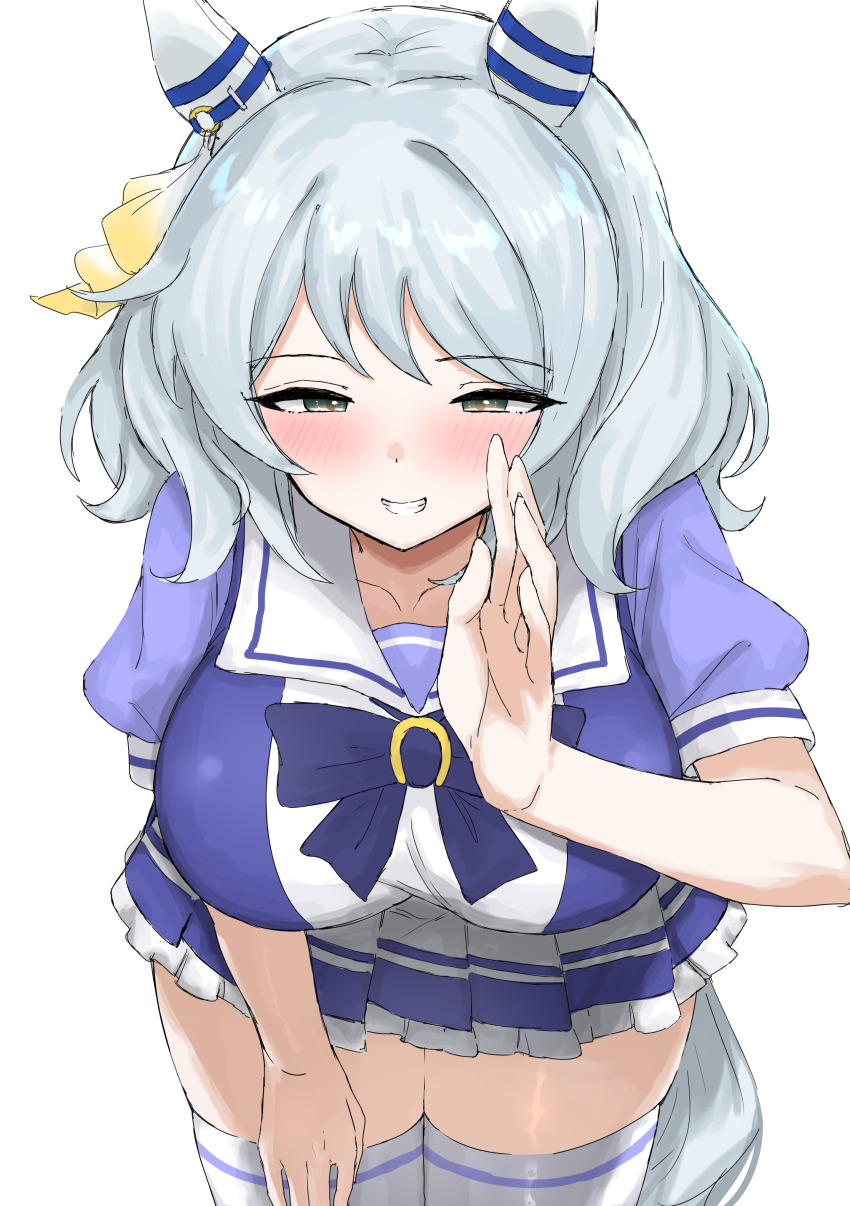 Hishi Miracle (Umamusume) Rule 34 Image