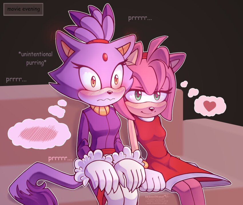 Amy Rose (Sonic (Series)) Rule 34 Image