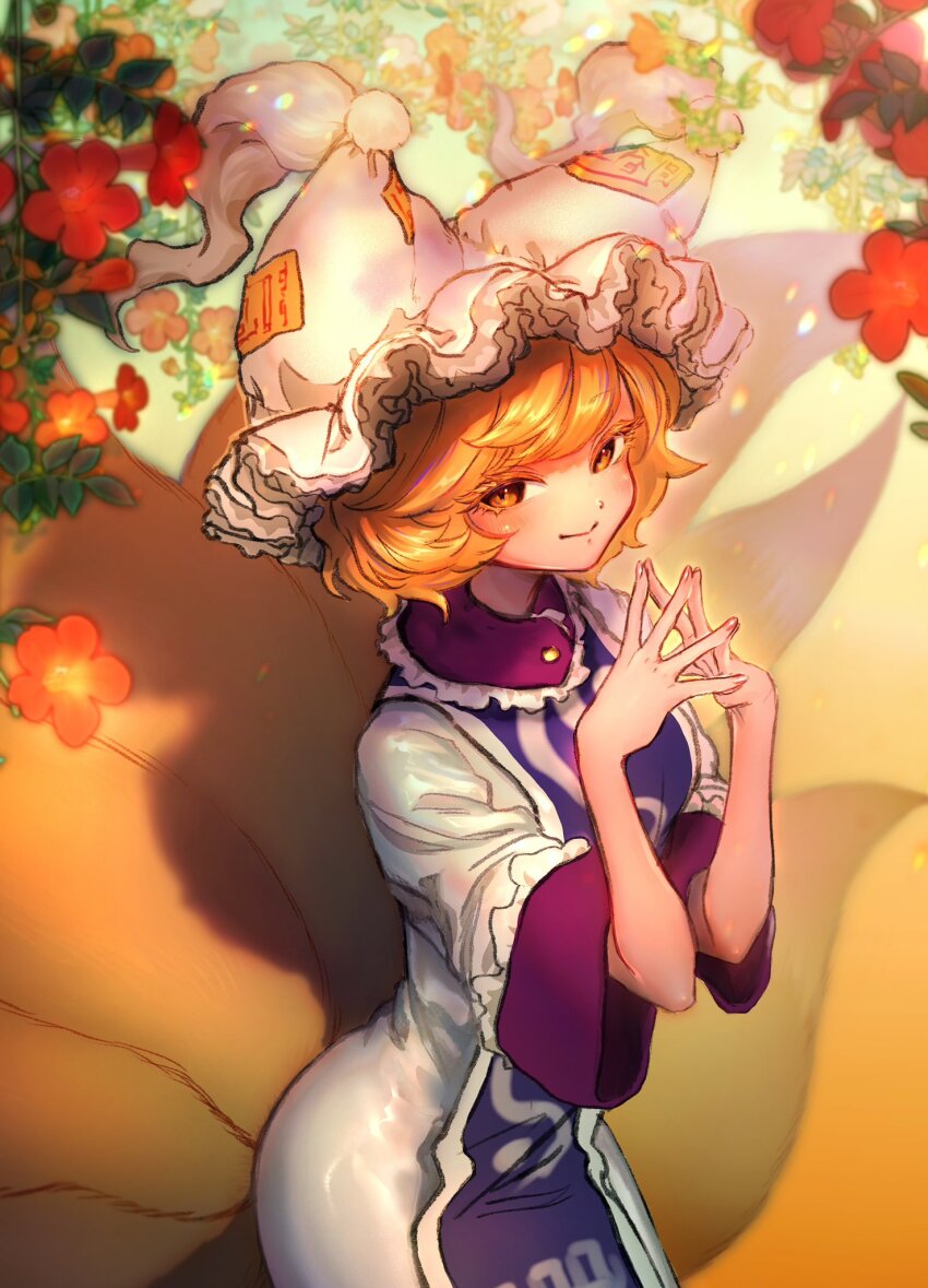 Yakumo Ran (Touhou) Rule 34 Image