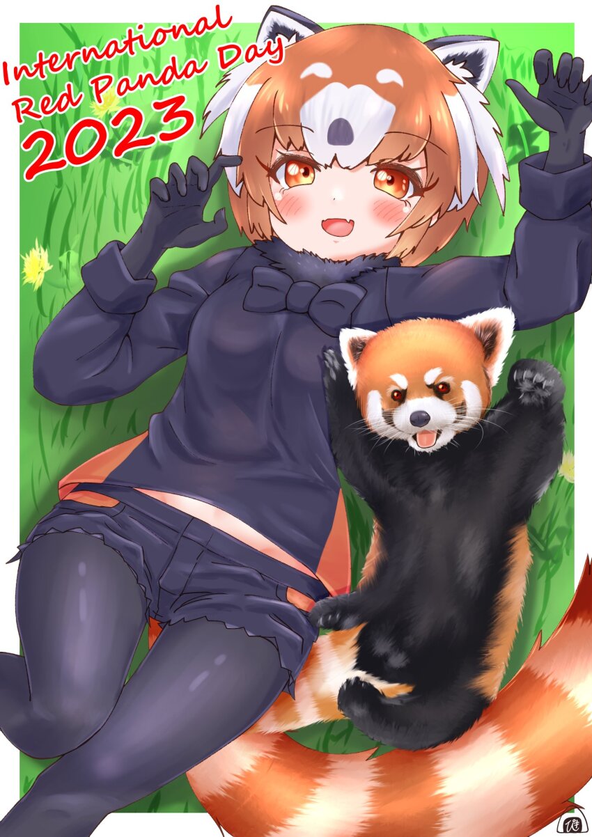 Kemono Friends Rule 34 Image