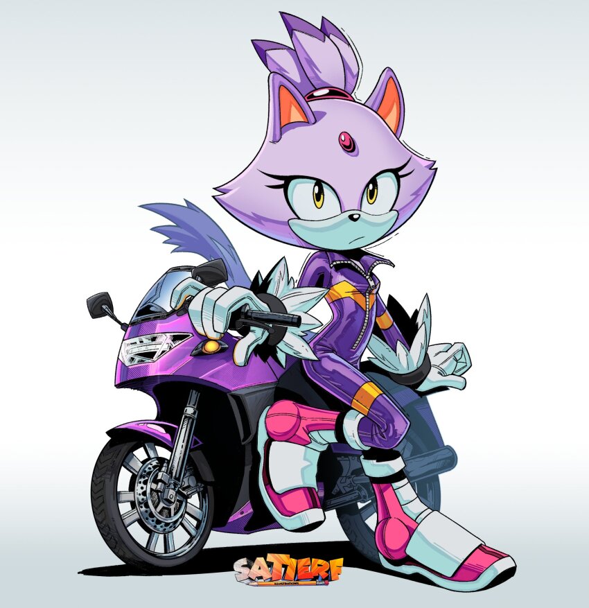 Blaze The Cat (Sonic (Series)) Rule 34 Image