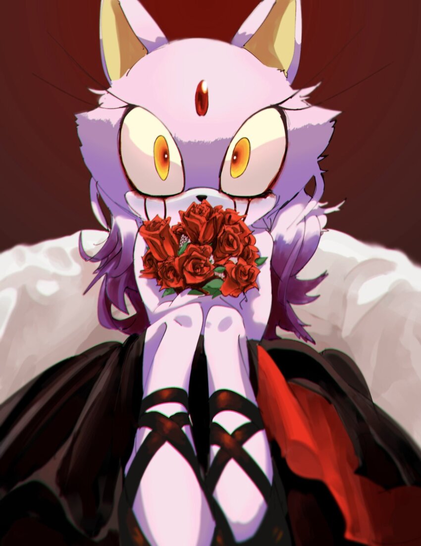 Blaze The Cat (My Chemical Romance) Rule 34 Image