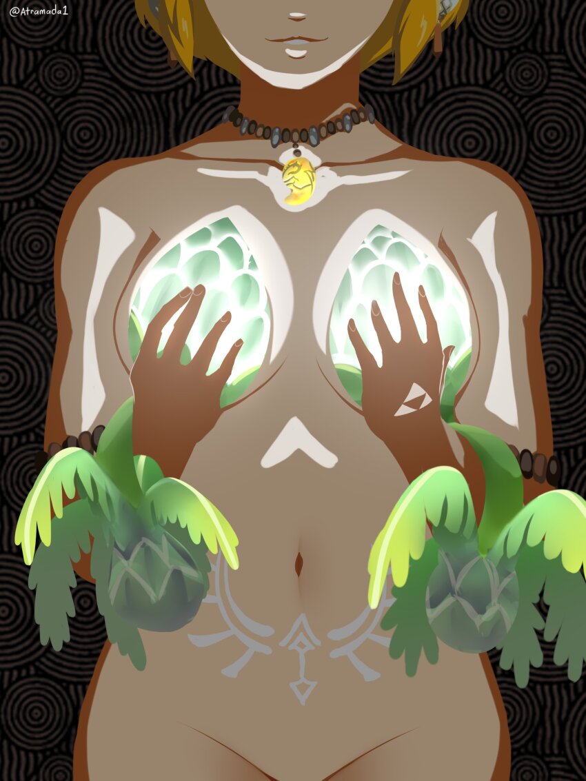 Princess Zelda (Nintendo) Rule 34 Image