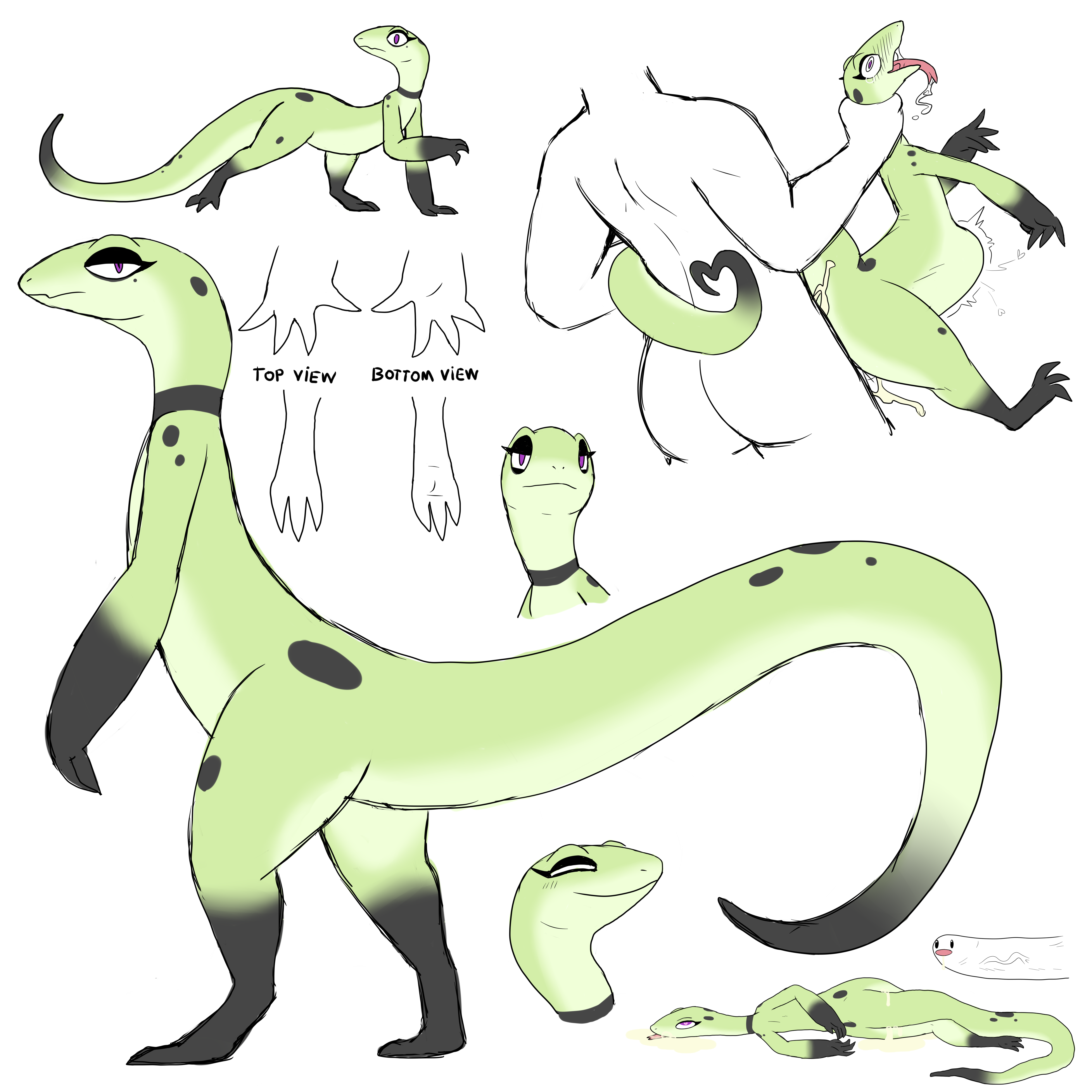 Absurd Res Rule 34 Image