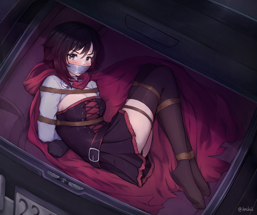 Ruby Rose (Rwby) Rule 34 Image