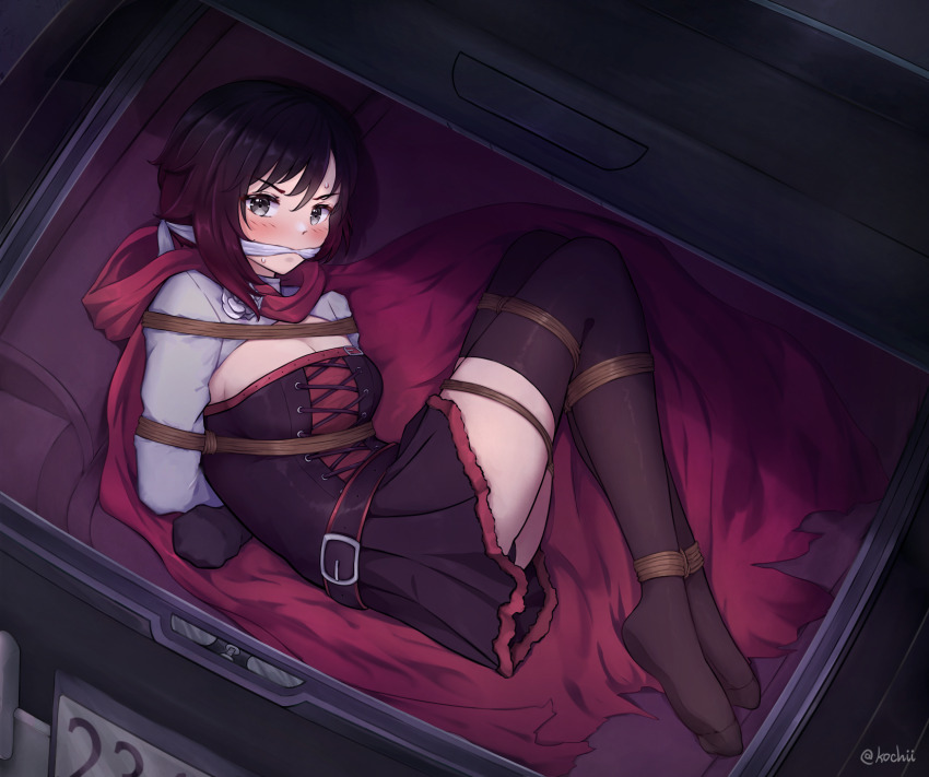 Ruby Rose (Rwby) Rule 34 Image