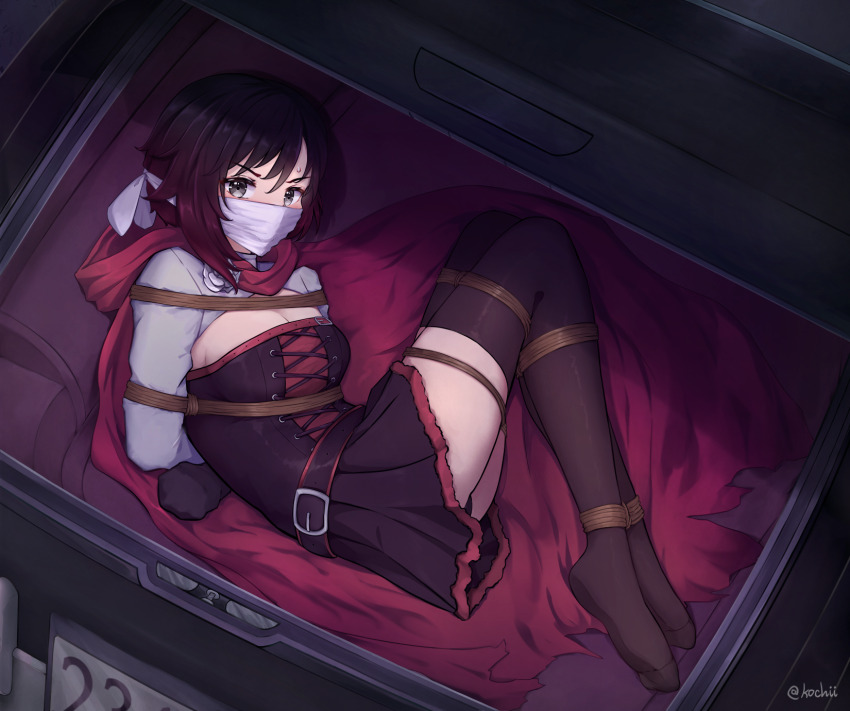 Ruby Rose (Rwby) Rule 34 Image