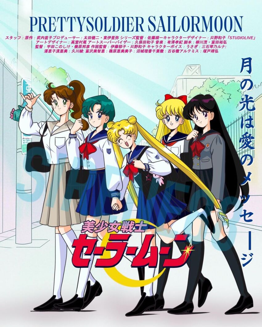 Kino Makoto (Aino Minako) Rule 34 Image