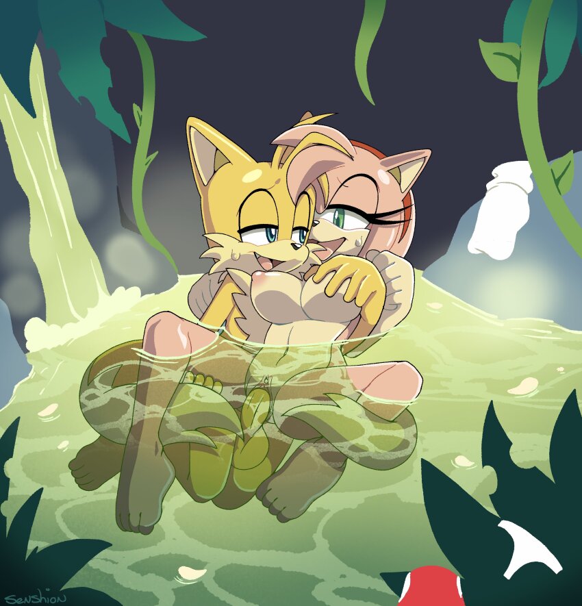 Amy Rose (Sonic (Series)) Rule 34 Image