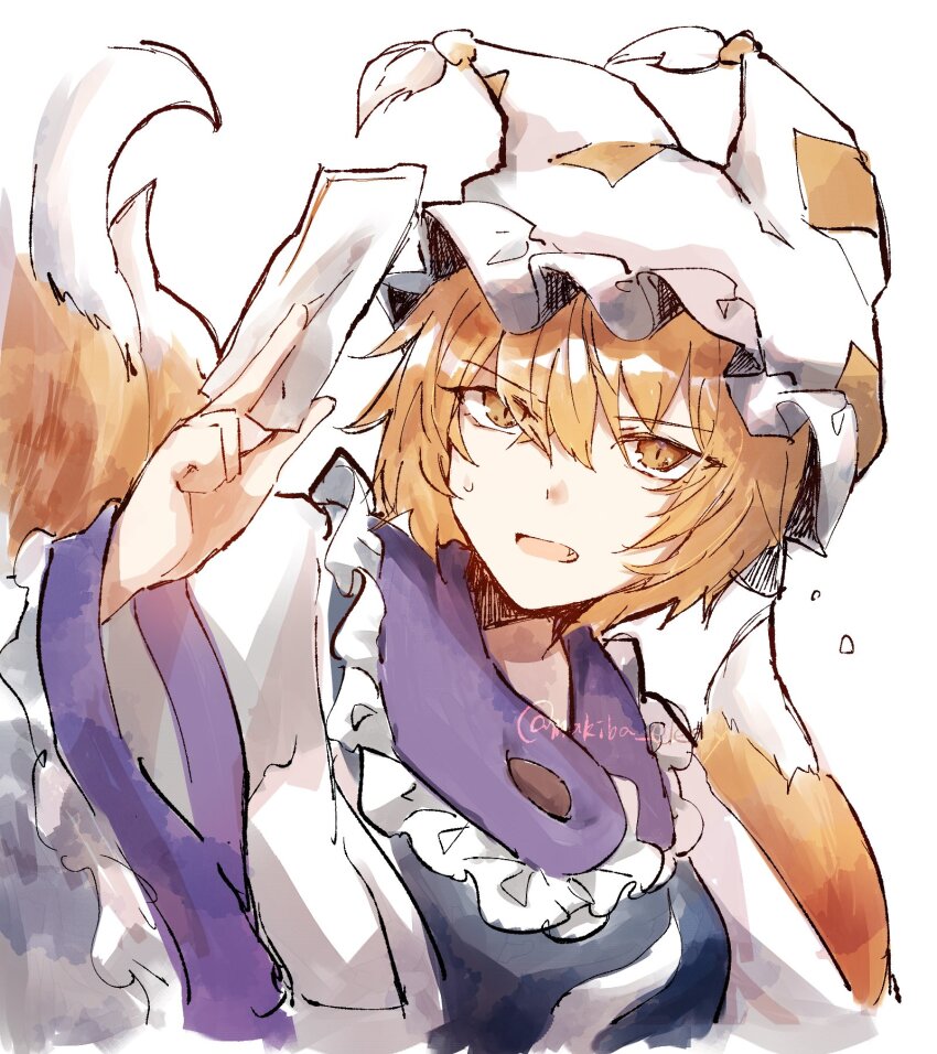 Yakumo Ran (Touhou) Rule 34 Image