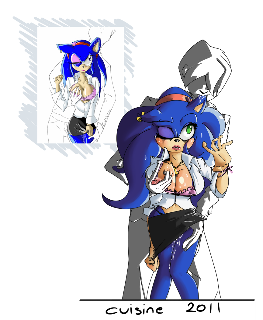 Sonic The Hedgehog (Sega) Rule 34 Image