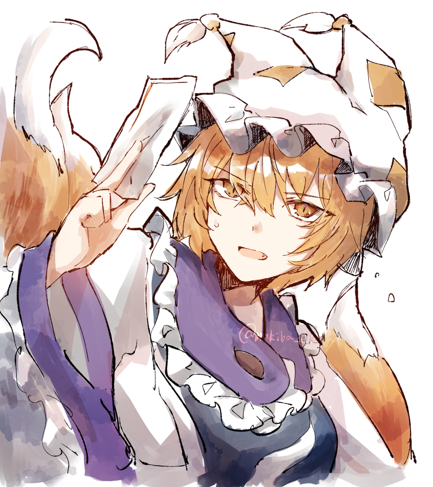 Yakumo Ran (Touhou) Rule 34 Image