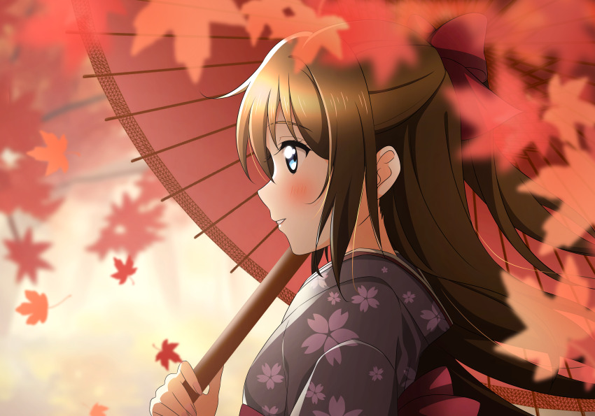 Love Live! Rule 34 Image