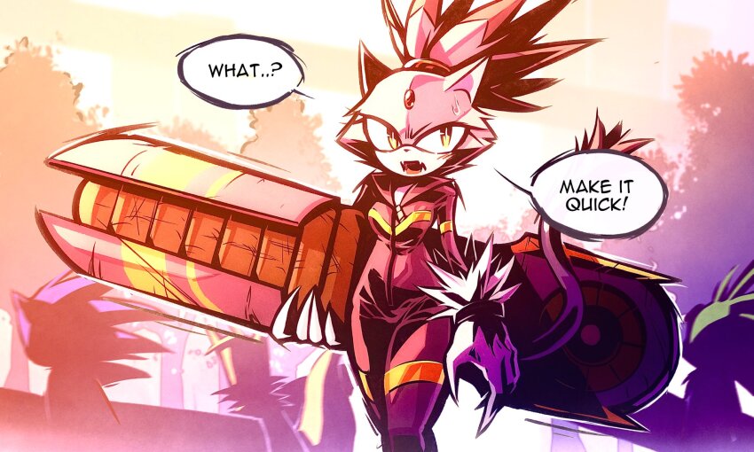 Blaze The Cat (Sonic (Series)) Rule 34 Image
