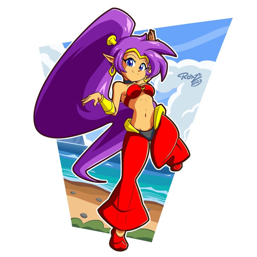 Shantae Rule 34 Image