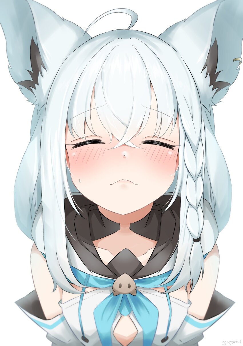 Shirakami Fubuki (Hololive) Rule 34 Image