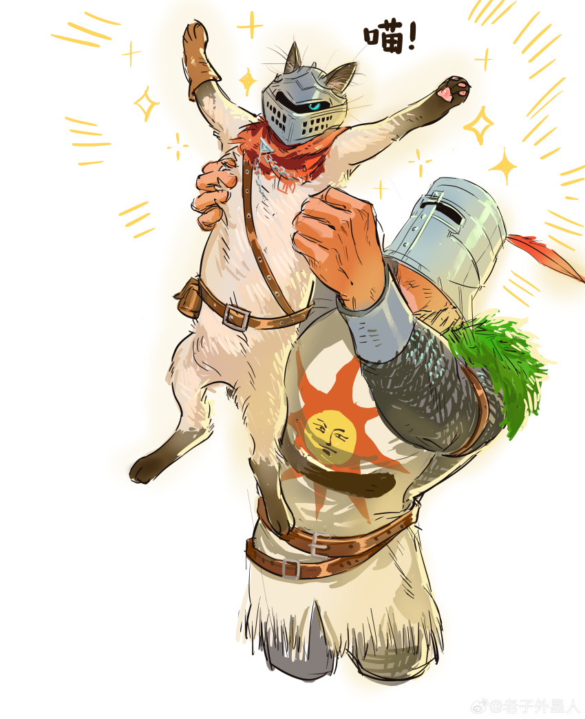 Solaire Of Astora (Dark Souls (Series)) Rule 34 Image