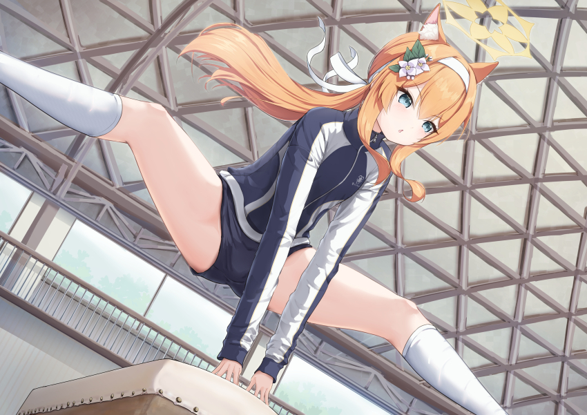 Mari (Blue Archive) Rule 34 Image