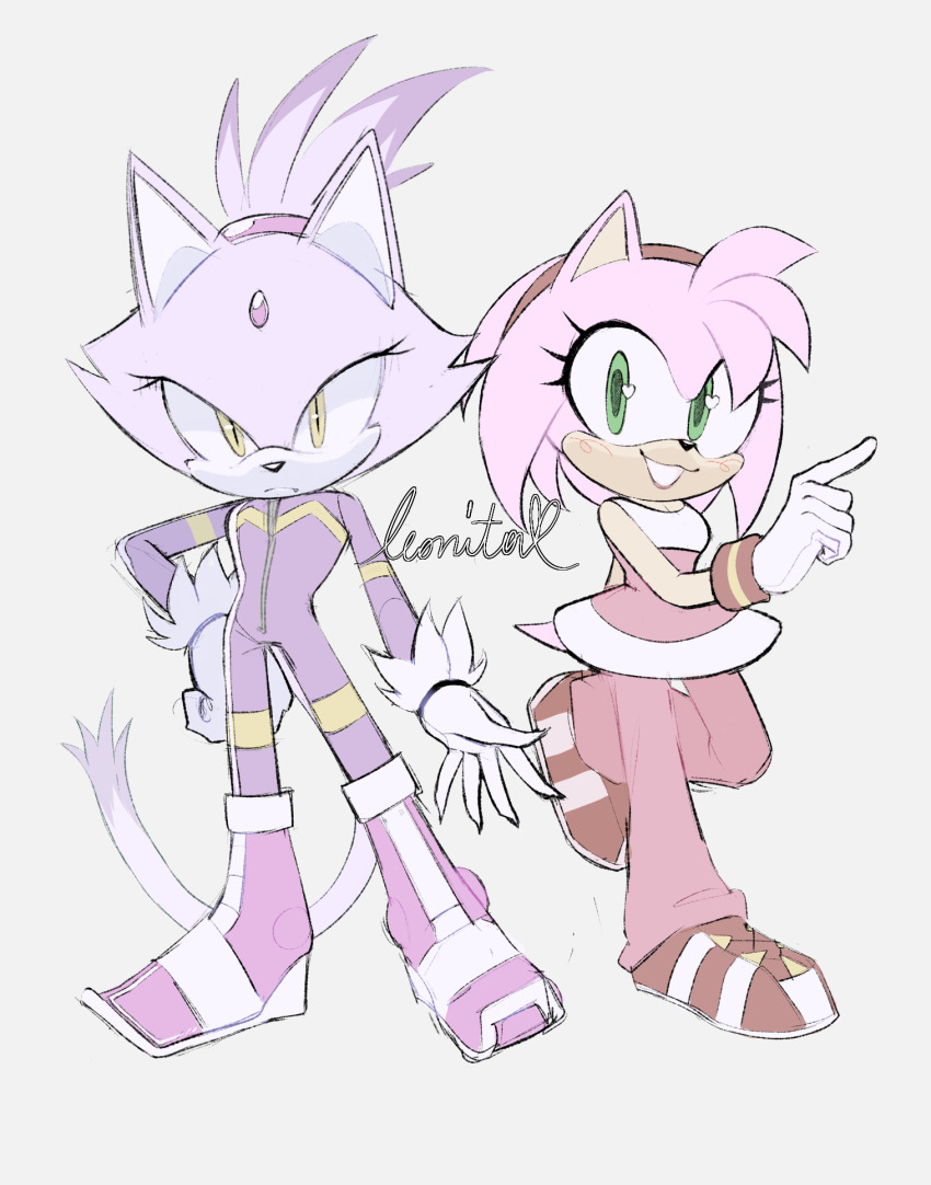 Amy Rose (Sonic (Series)) Rule 34 Image