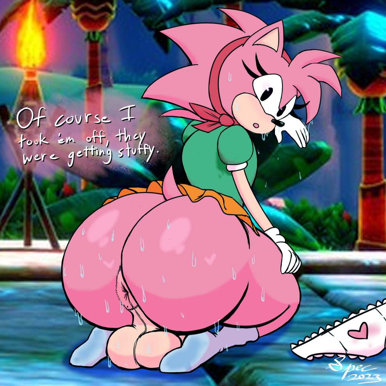 Amy Rose (Sonic (Series)) Rule 34 Image