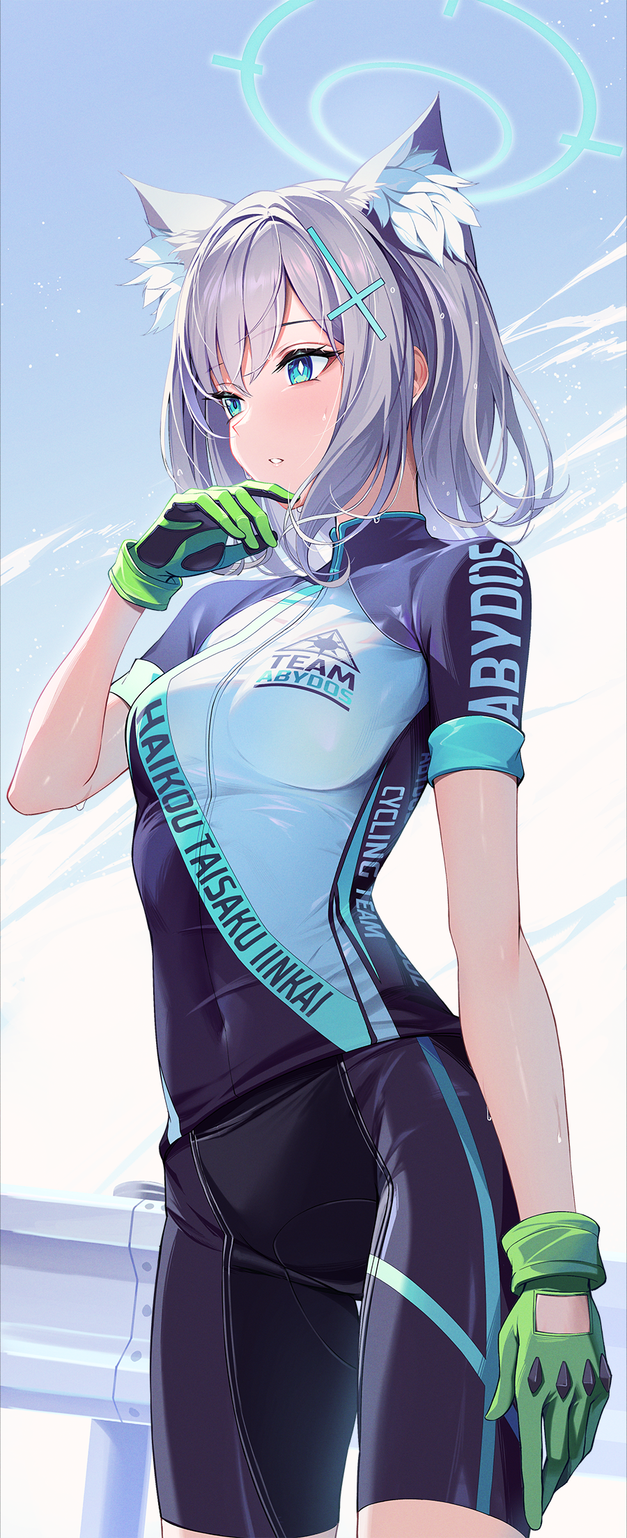 Shiroko (Blue Archive) Rule 34 Image