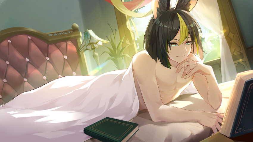 Tighnari (Genshin Impact) Rule 34 Image