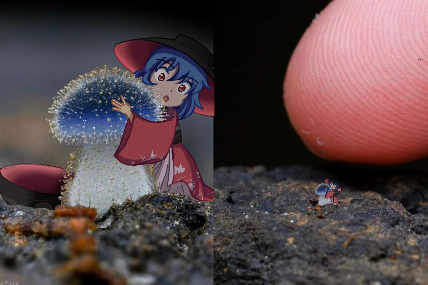 Sukuna Shinmyoumaru (Touhou) Rule 34 Image