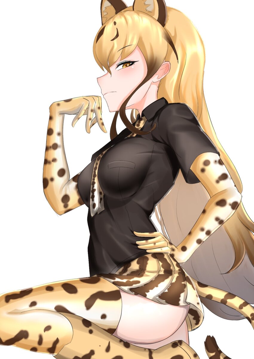 Kemono Friends Rule 34 Image