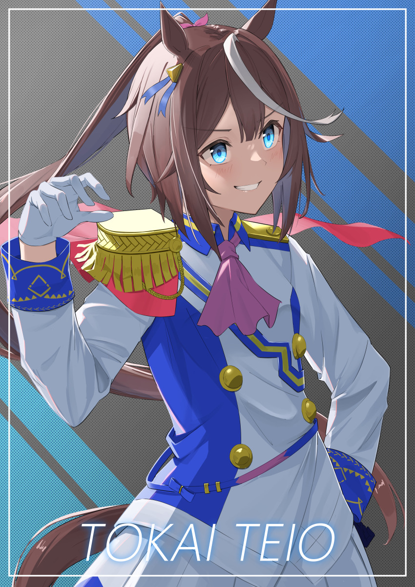 Tokai Teio (Umamusume) Rule 34 Image